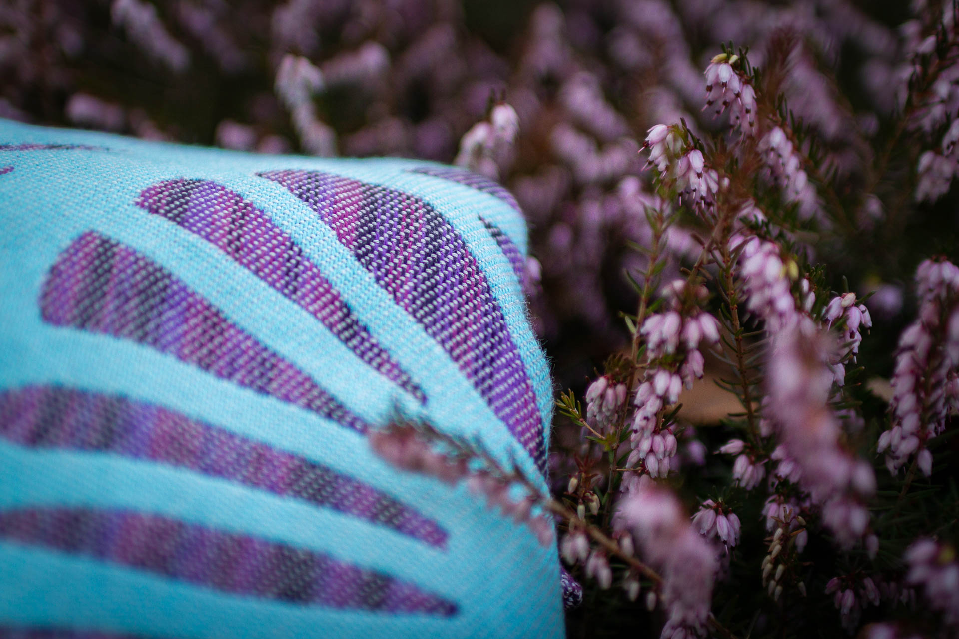 dekka-fins-viola produkt/dekka-fins-viola/dekka_fins_viola_01.jpg