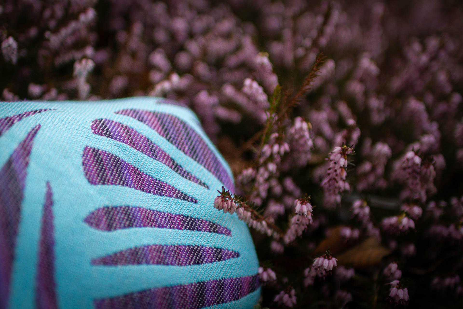 dekka-fins-viola produkt/dekka-fins-viola/dekka_fins_viola_03.jpg